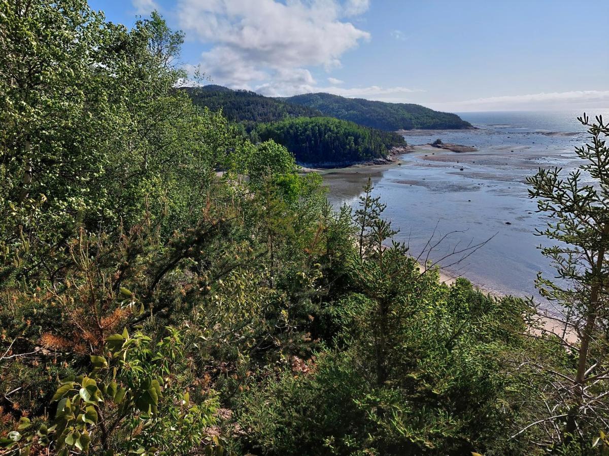 Villa La Nef Bleue Tadoussac Esterno foto