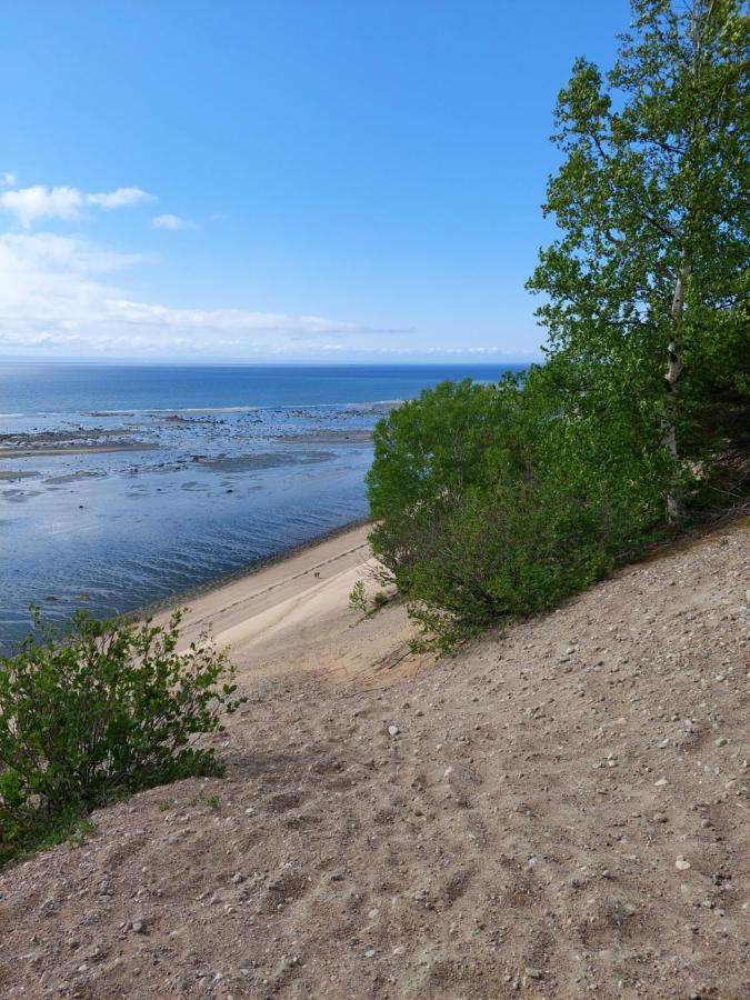 Villa La Nef Bleue Tadoussac Esterno foto